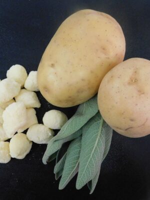 Gnocchi di patate