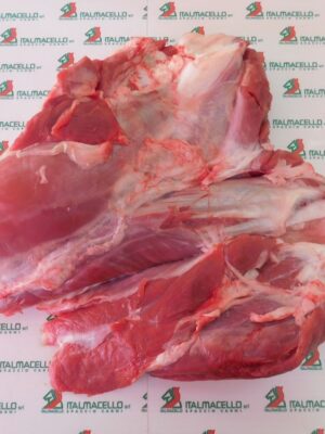 Muscolo di bovino adulto