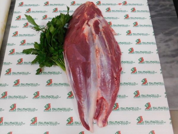 Muscolo equino