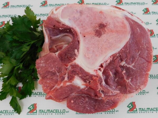 Osso del nonno di bovino adulto