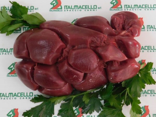 Rognone di bovino adulto